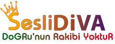 SesliChat, SesliSohbet, SesliSiteler